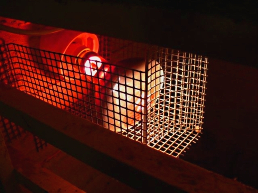 Инфракрасная лампа для обогрева цыплят, помния